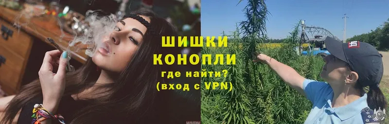 Конопля тримм  ссылка на мегу вход  Кудымкар 